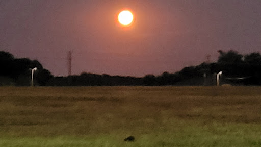 Park «Harold Bacchus Community Park», reviews and photos, 13995 Main St, Frisco, TX 75034, USA