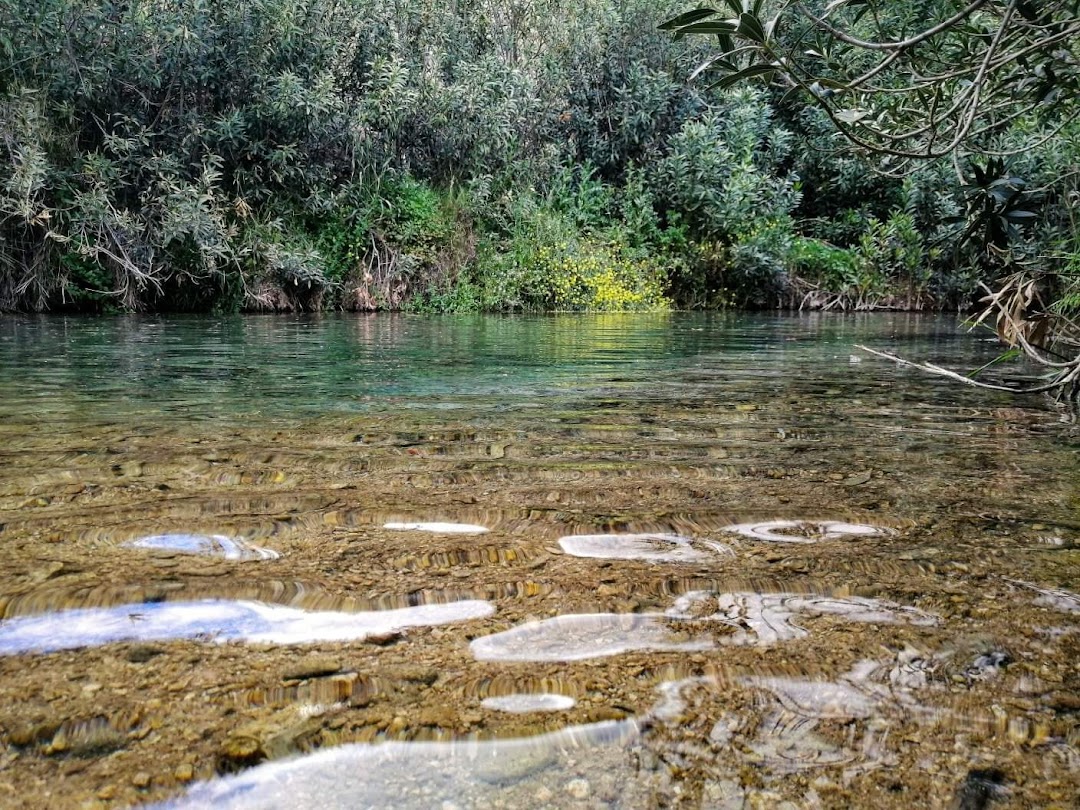 Kassarin, Tunus