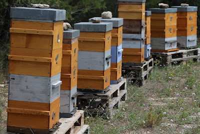 Le Mas Des Abeilles à Bonnieux