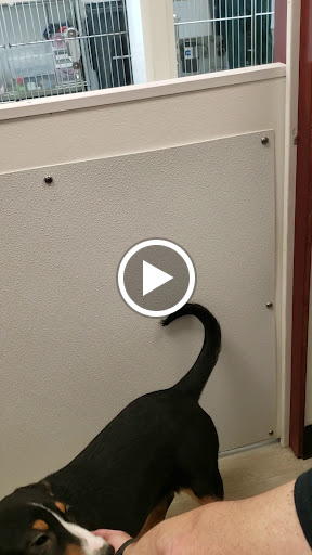 Pet Store «Petland Topeka», reviews and photos, 1801 SW Wanamaker Rd, Topeka, KS 66614, USA