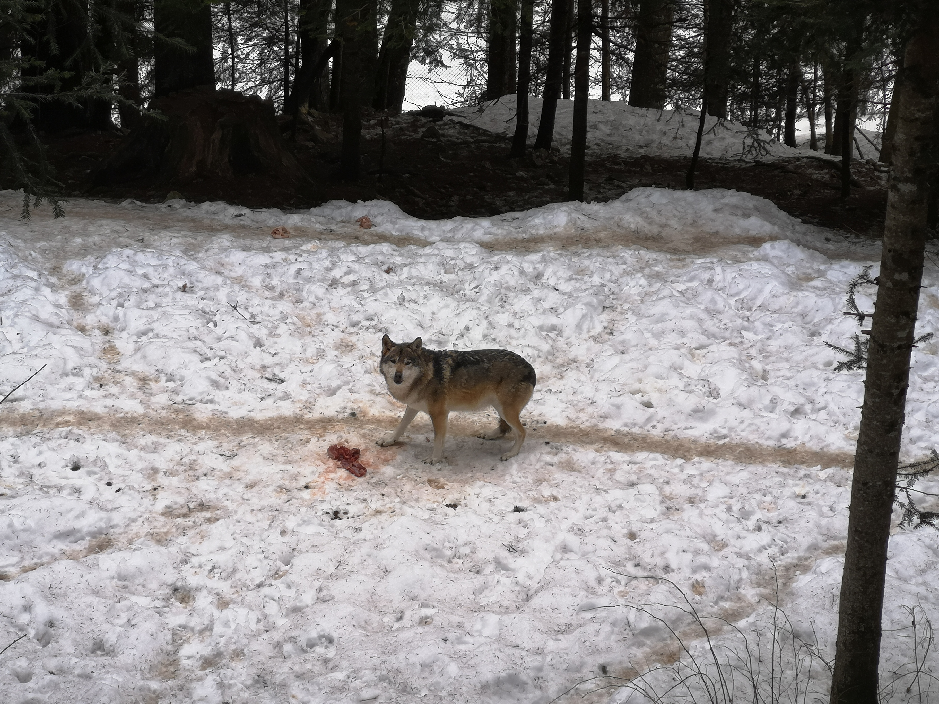 Photo n° 1 de l'avis de M. fait le 06/02/2020 à 09:02