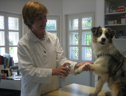 Kleintierpraxis Dr. med.vet. Ulrike Falbesaner unter Maisach, Bayern