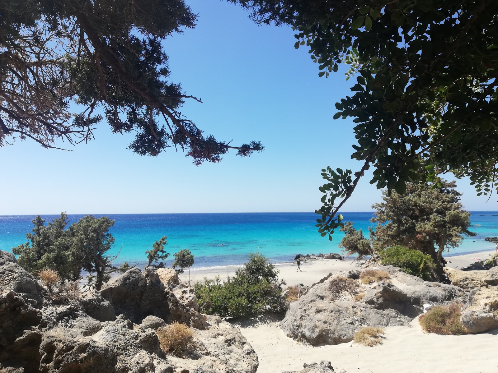 Foto von Kedrodasos Strand mit teilweise sauber Sauberkeitsgrad