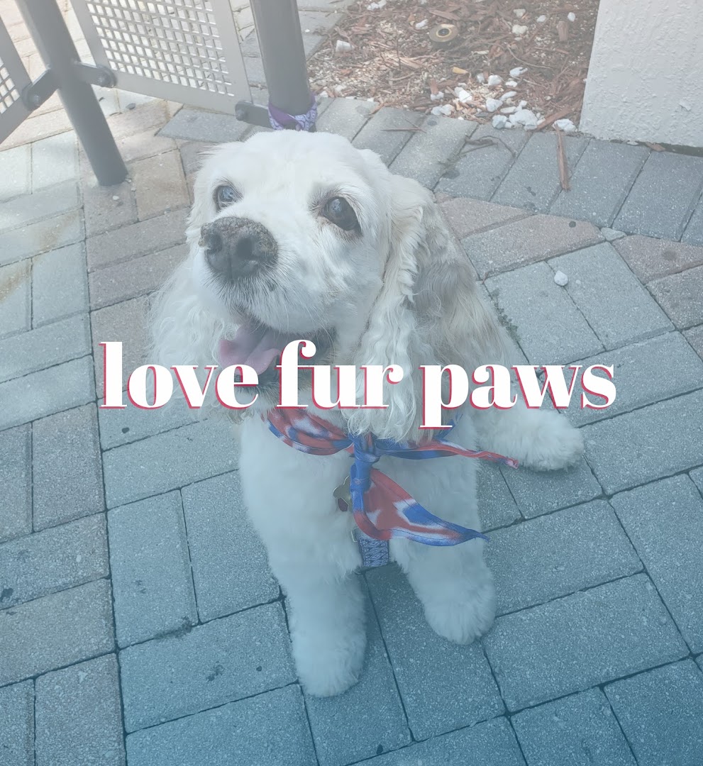 Love Fur Paws Dog Grooming