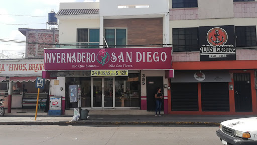 Bodega de flores invernadero san diego florería en  en la zona Centro