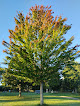 L'arboretum du parc du château Buc