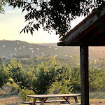 Photo n°7 de l'avis de Renzo.o fait le 03/09/2023 à 18:40 sur le  I Salici Agriturismo à Pergine Valdarno