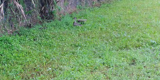 Park «Lake Fairview Park», reviews and photos, 2200 Lee Rd, Orlando, FL 32810, USA