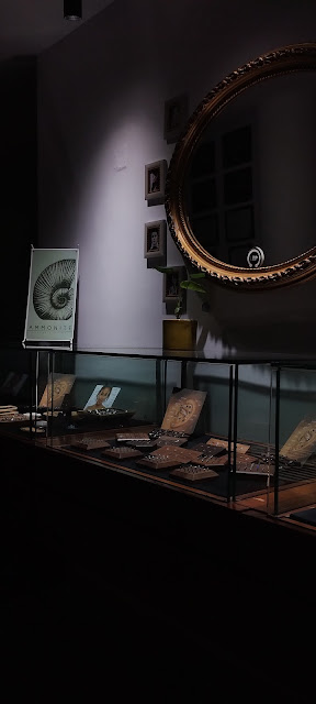 Ammonite soul & body