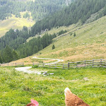 Photo n°5 de l'avis de Bernd. fait le 06/09/2023 à 10:38 sur le  Untere Gostalm à Moos in Passeier