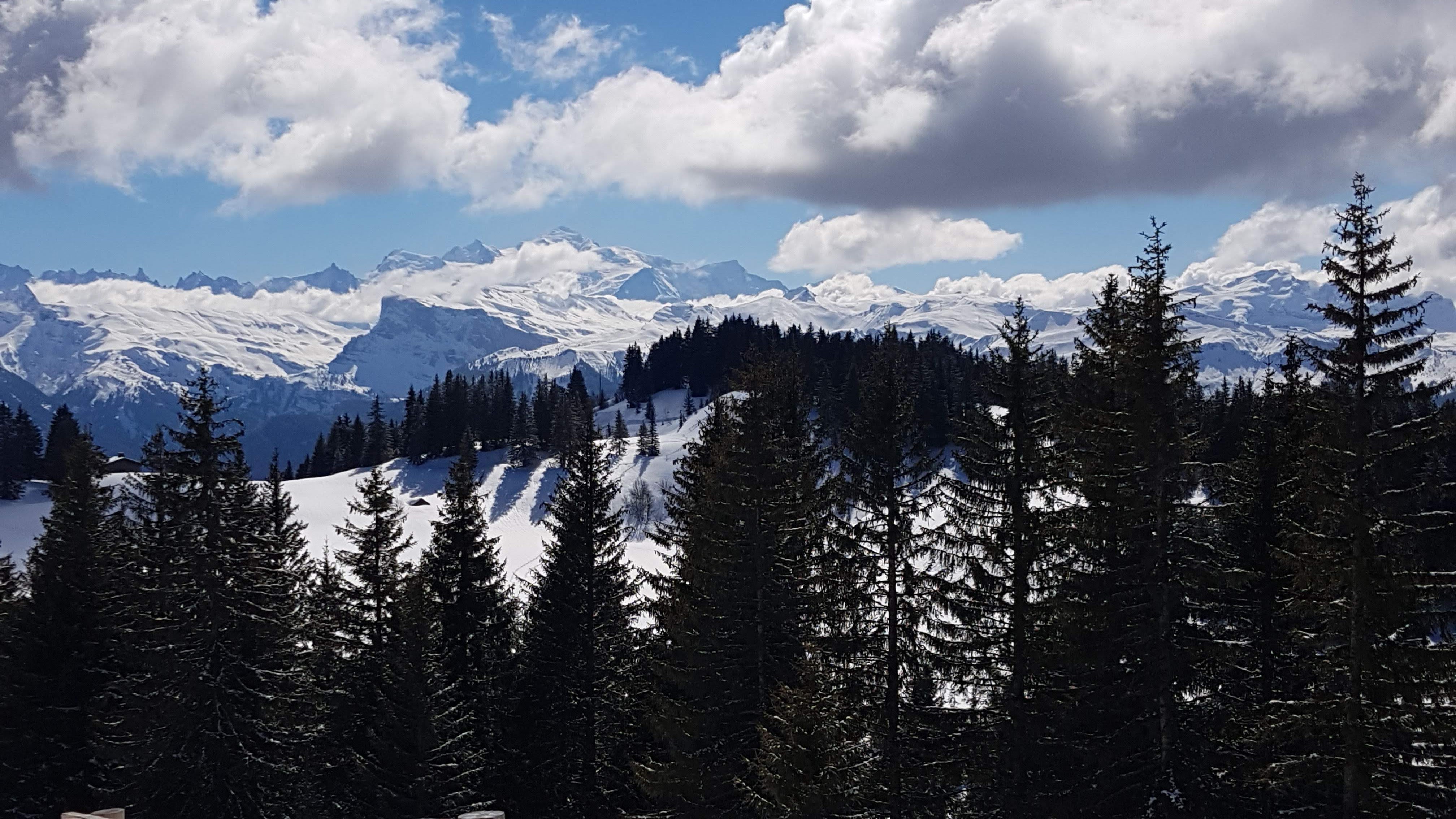 Photo n° 3 de l'avis de Rene.e fait le 20/03/2019 à 08:11
