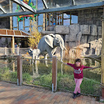 Photo n°4 de l'avis de Mario.x fait le 03/11/2022 à 22:52 sur le  Dschungelrestaurant à Wangels