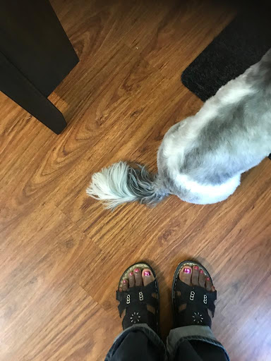 Pet Supply Store «Petco Animal Supplies», reviews and photos, 8164 Mall Pkwy, Lithonia, GA 30038, USA