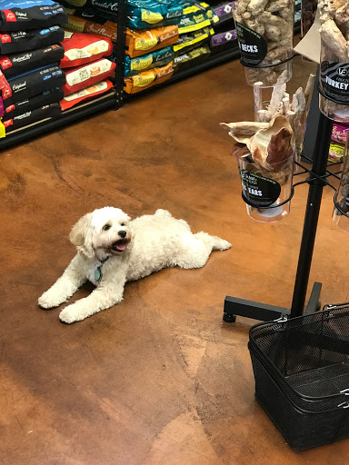 Pet Care Service «Green Paws Pet Market», reviews and photos, 10037 Cleary Blvd, Plantation, FL 33324, USA