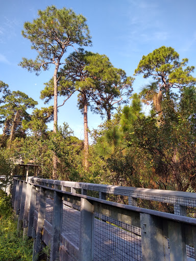 Nature Preserve «Tall Cypress Natural Area», reviews and photos, 3700 Turtle Run Blvd, Coral Springs, FL 33065, USA