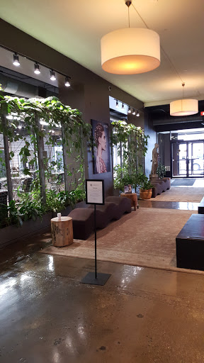 Beauty School «Aveda Institute Minneapolis», reviews and photos, 400 Central Ave SE, Minneapolis, MN 55414, USA