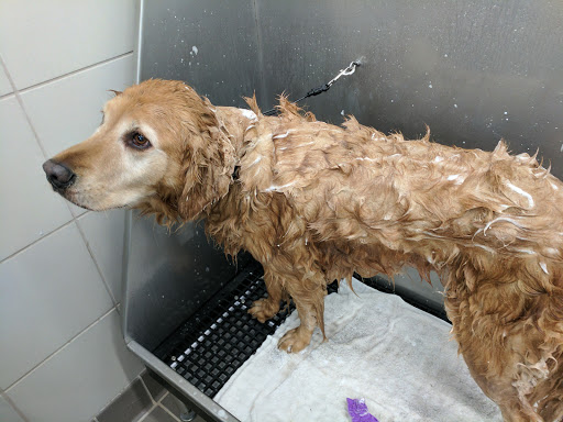 Pet Supply Store «Pet Supplies Plus», reviews and photos, 445 Atlantic City Blvd, Bayville, NJ 08721, USA