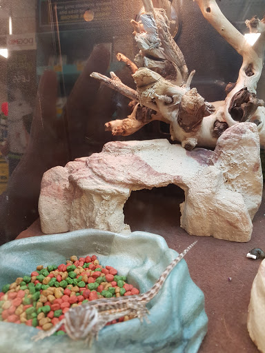 Pet Supply Store «PetSmart», reviews and photos, 7850 W Commercial Blvd, Lauderhill, FL 33351, USA