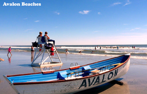 Real Estate Agency «Ferguson Dechert Real Estate», reviews and photos, 2789 Dune Dr, Avalon, NJ 08202, USA