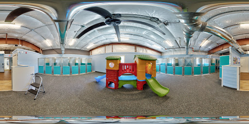 Kennel «Pampered Pets», reviews and photos, 601 Concord Ave, Charlottesville, VA 22903, USA