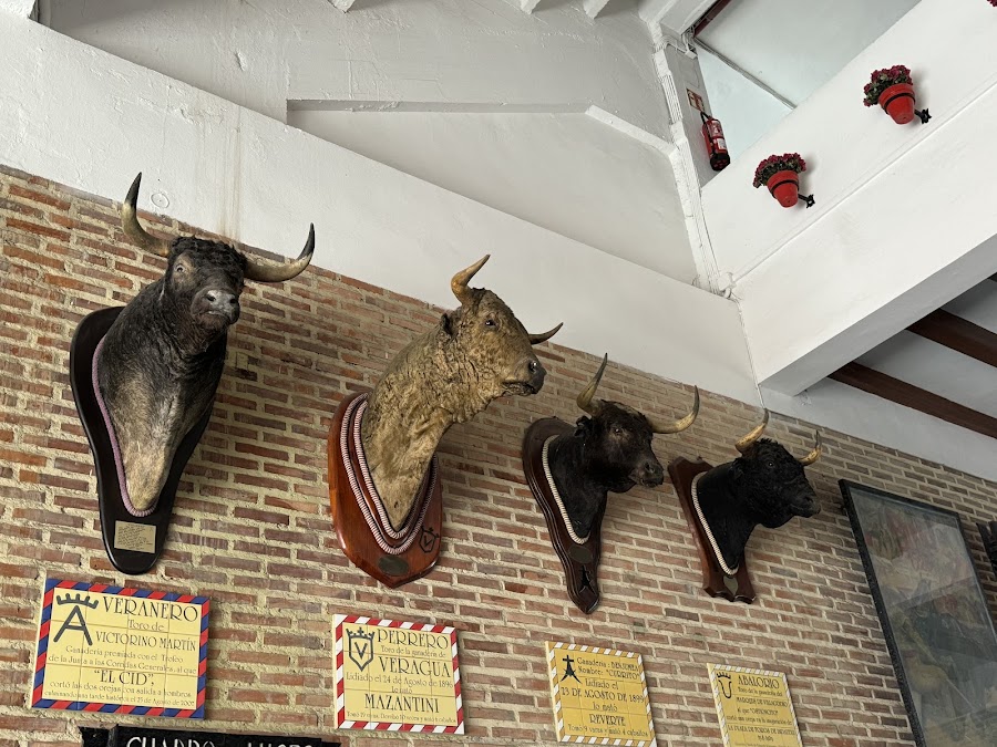 Museo Taurino de Bilbao