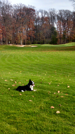 Golf Course «Eastern Hills Golf Course», reviews and photos, 6075 E G Ave, Kalamazoo, MI 49004, USA