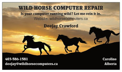 Wild Horse Computer Repair