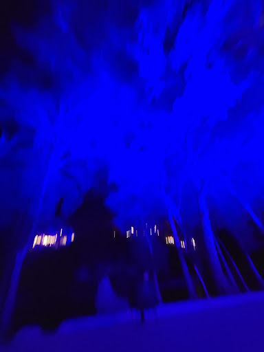 Live Music Venue «Whitewater Amphitheater», reviews and photos, 11860 FM306 #1, New Braunfels, TX 78132, USA