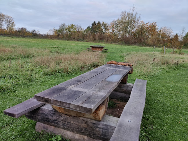 Beoordelingen van Bivakzone: De Getedraak - Drieslinter in Gembloers - Kampeerterrein