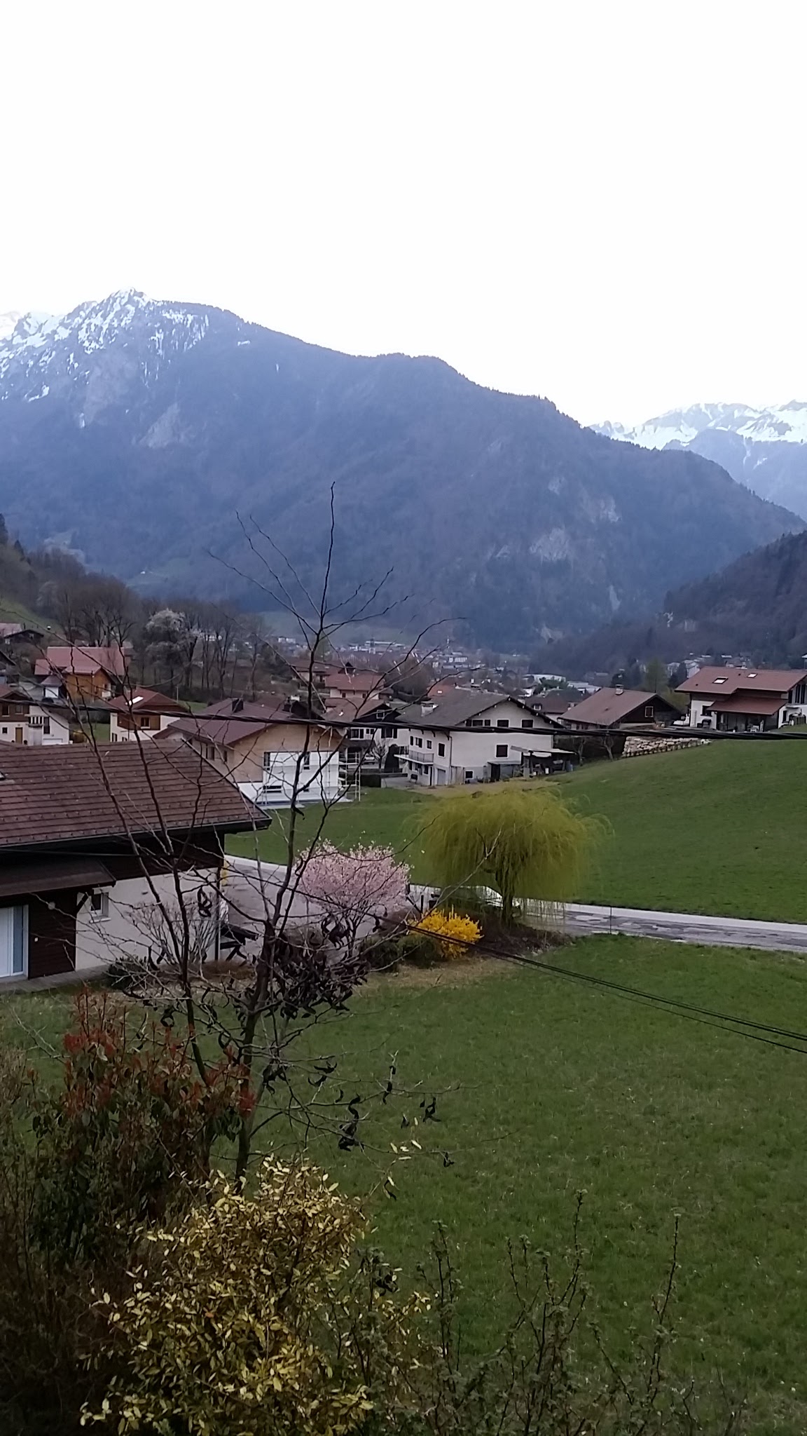 Photo n° 9 de l'avis de ismael.r fait le 22/04/2019 à 22:00