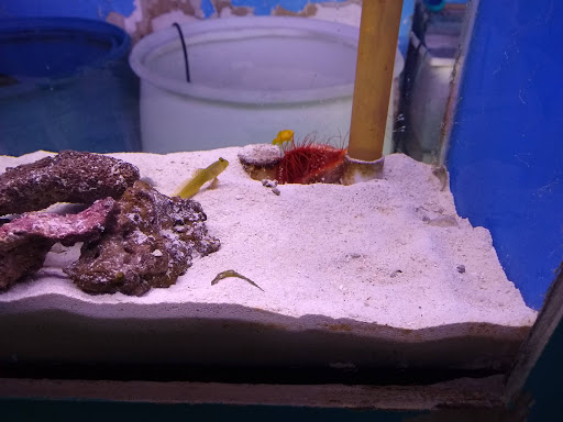 Tropical Fish Store «Monfort Aquarium & Pet», reviews and photos, 6520 Colerain Ave, Cincinnati, OH 45239, USA