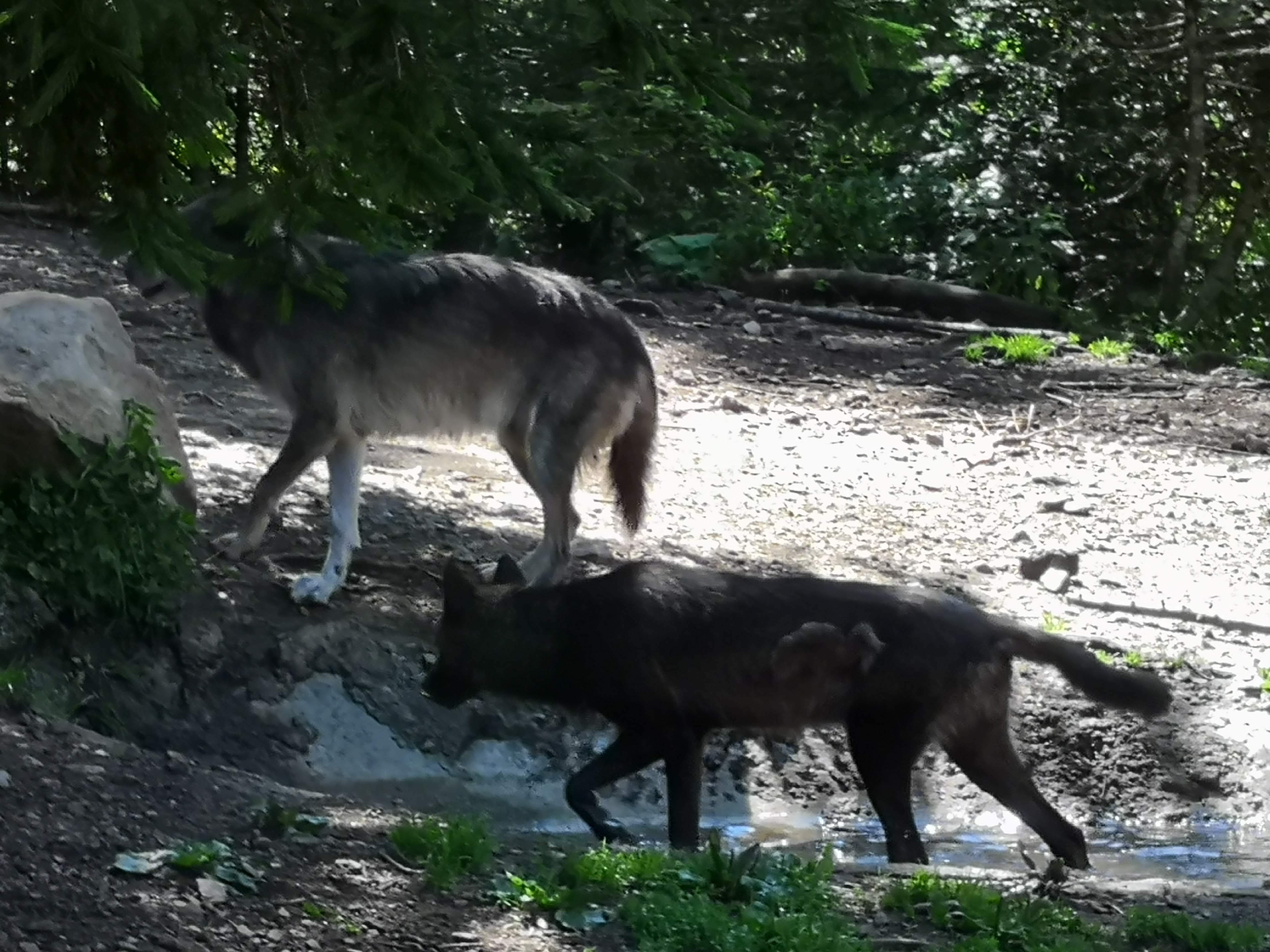 Photo n° 2 de l'avis de Cristelle.s fait le 30/06/2020 à 11:59