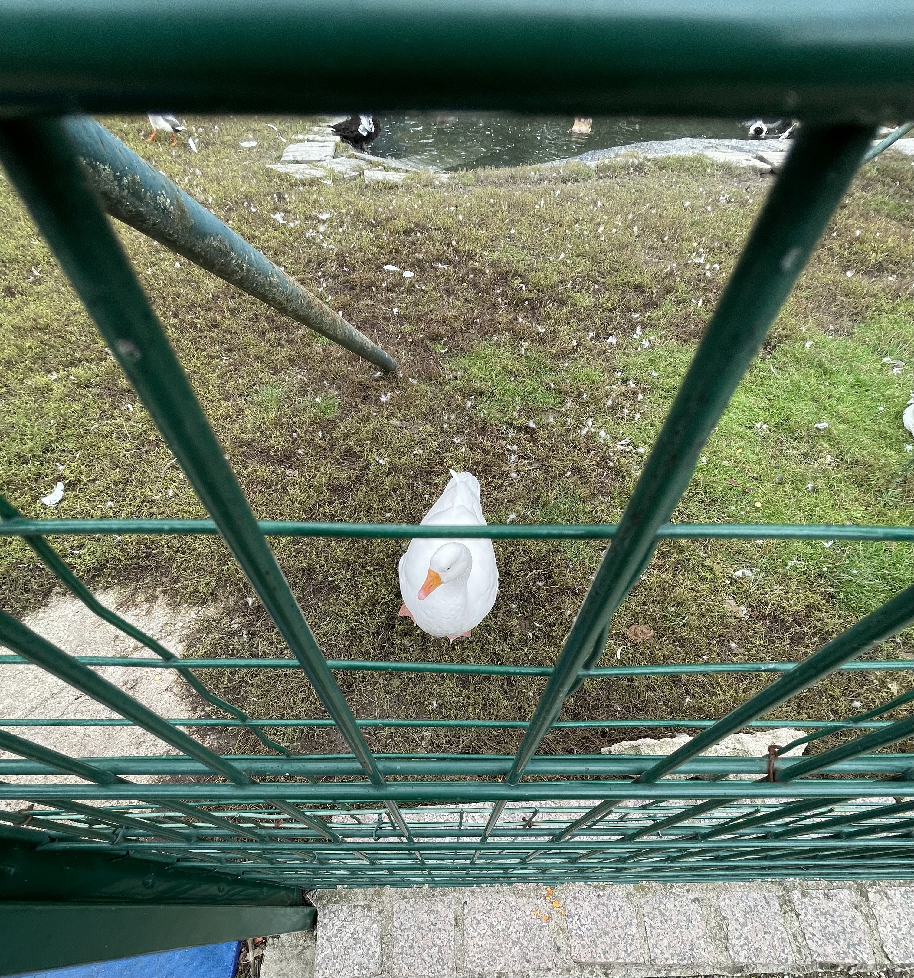 Photo n° 8 de l'avis de Philippe.a fait le 28/09/2022 à 15:28