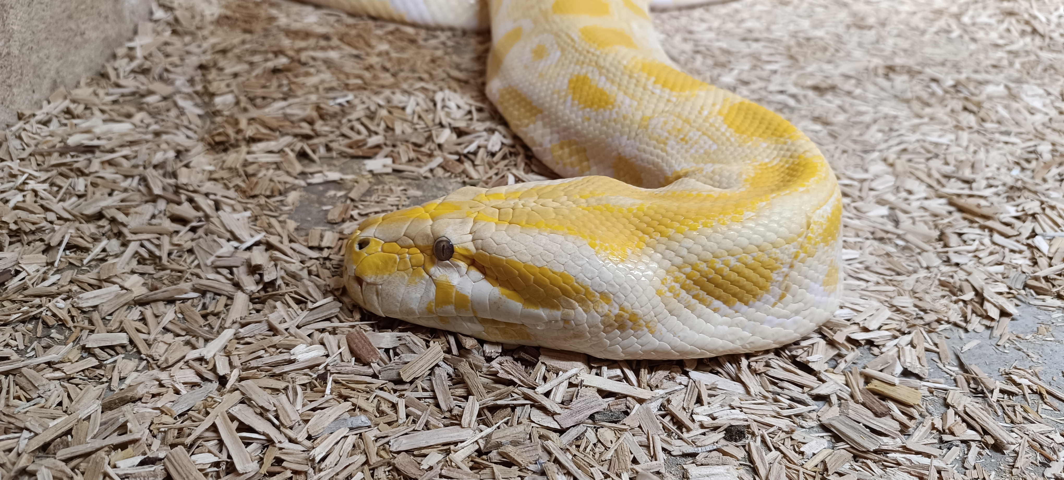 Photo n° 2 de l'avis de Myo.o fait le 17/07/2023 à 17:56