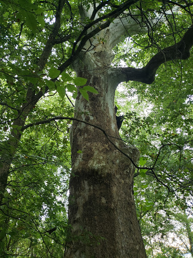 Park «Beckley Creek Park», reviews and photos, 1411 Beckley Creek Pkwy, Louisville, KY 40245, USA