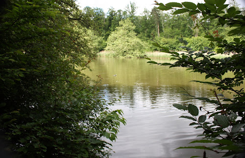 Etang de la Plaine à Thiescourt