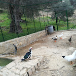 Photo n°1 de l'avis de Roberta.i fait le 07/03/2021 à 19:02 sur le  Agriturismo Catena à Cirò