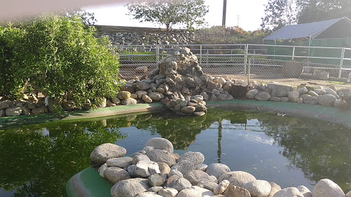 Park «Montebello Barnyard Zoo», reviews and photos, 600 Rea Dr, Montebello, CA 90640, USA
