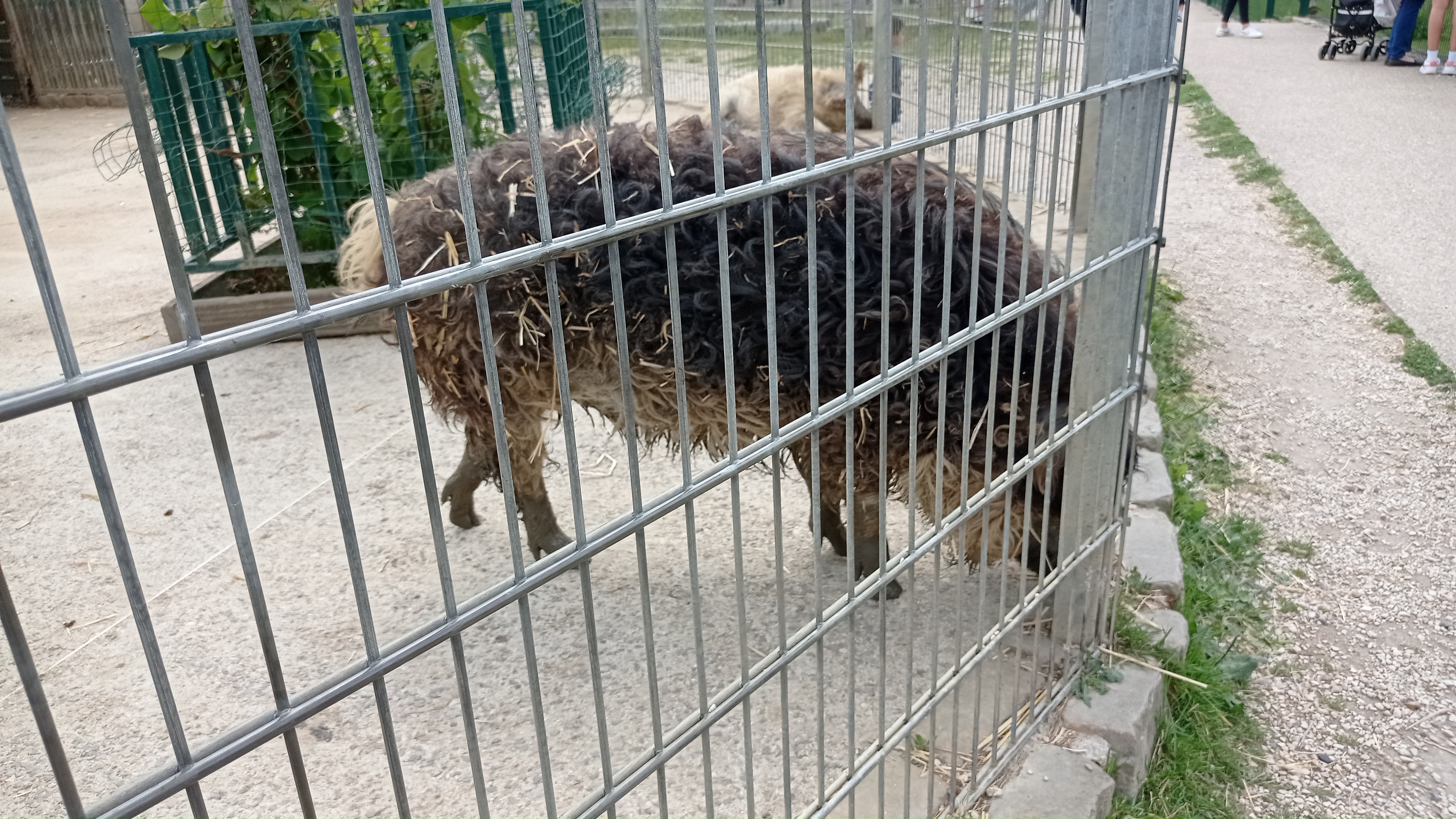 Photo n° 9 de l'avis de Beata.e fait le 12/06/2022 à 19:21