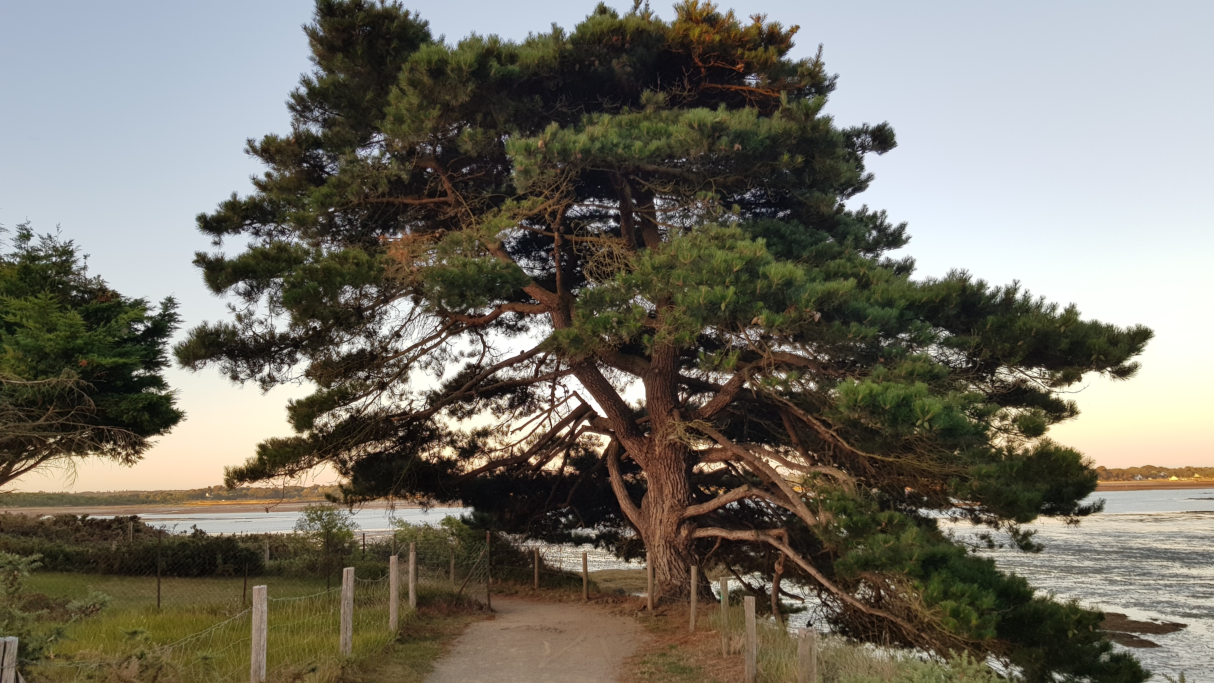 Photo n° 5 de l'avis de Michel.E fait le 16/07/2022 à 19:48