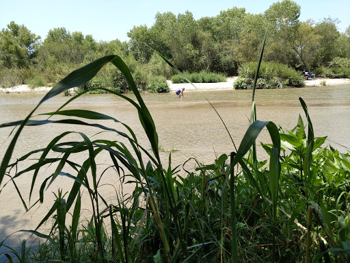 Public Golf Course «Paradise Knolls Golf Course», reviews and photos, 9330 Limonite Ave, Riverside, CA 92509, USA