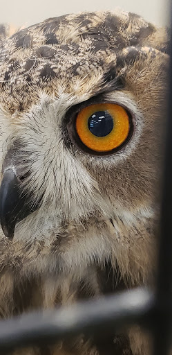 Pet Store «Parrots Of The World Aquarium and Pet Center», reviews and photos, 316 Sunrise Hwy #1, Rockville Centre, NY 11570, USA