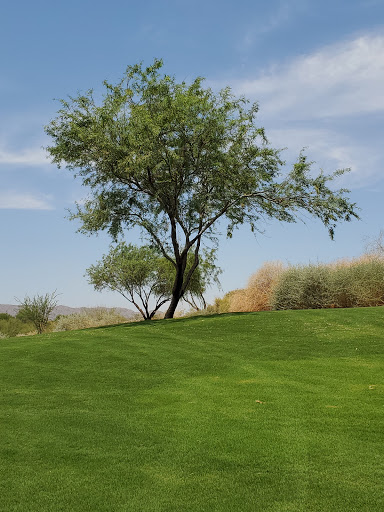 Golf Course «Whirlwind Golf Club at Wild Horse Pass», reviews and photos, 5692 W North Loop Rd, Chandler, AZ 85226, USA