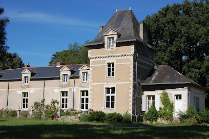 Château de Souché