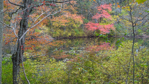 Tourist Attraction «Black Ledge Falls», reviews and photos, Hebron Ave, Glastonbury, CT 06033, USA