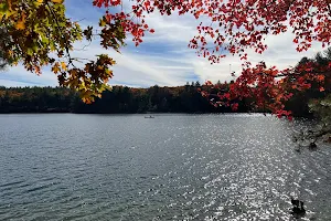 Walden Pond image
