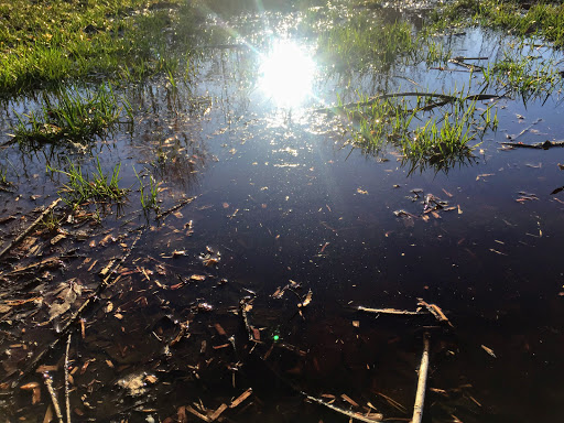 Park «Accokeek East Community Park», reviews and photos, 3606 Accokeek Rd, Waldorf, MD 20601, USA