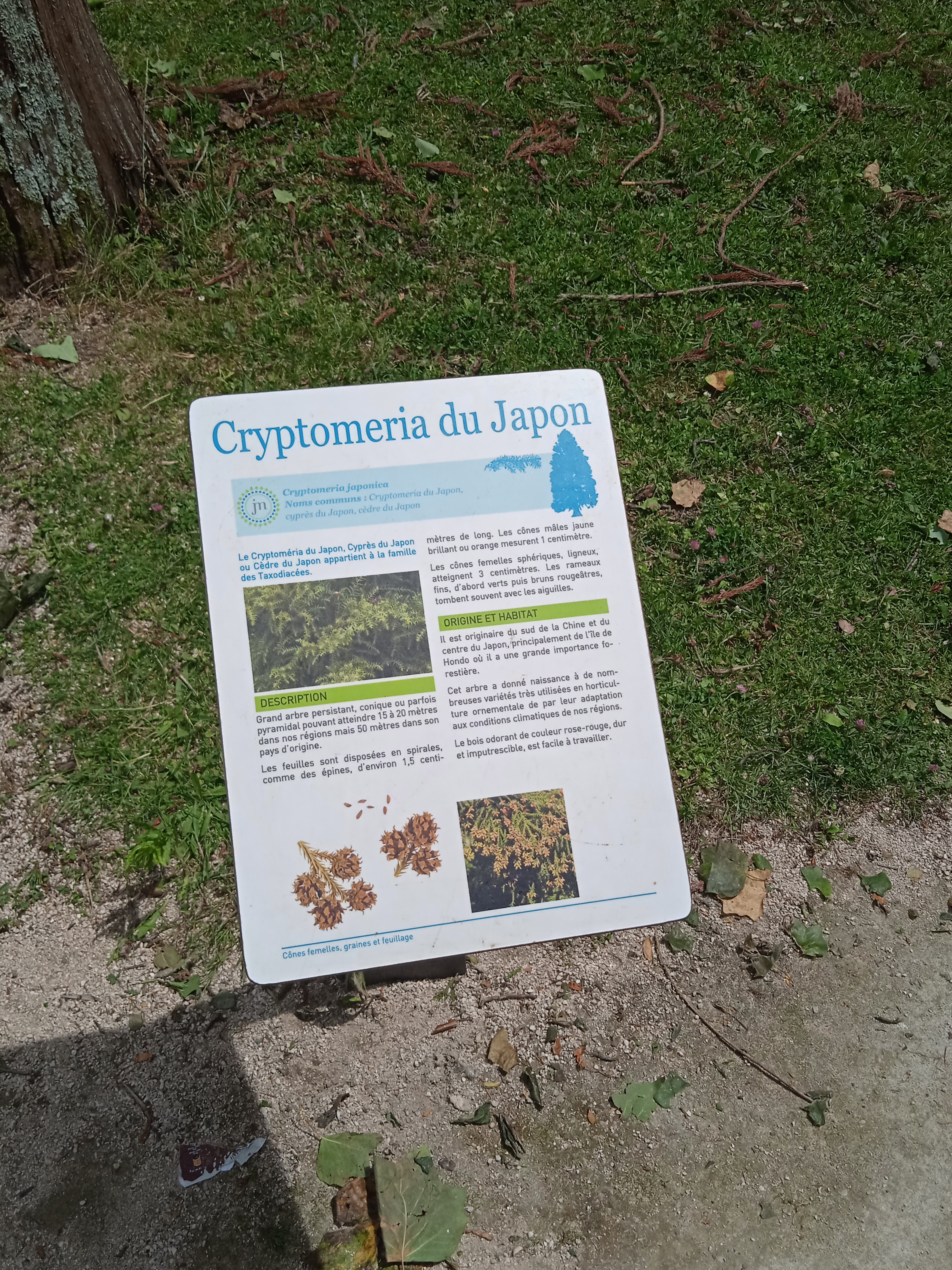 Photo n° 12 de l'avis de Melanie.b fait le 29/06/2021 à 13:59