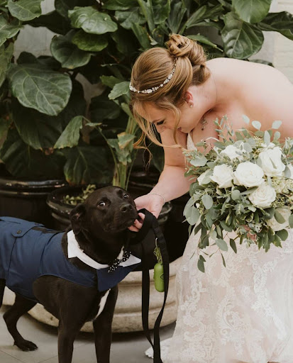 Florist «Dino Designs of Baltimore», reviews and photos, 330 N Charles St, Baltimore, MD 21201, USA