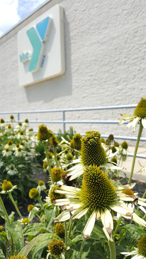 Health Club «Brandywine YMCA», reviews and photos, 295 Hurley Rd, Coatesville, PA 19320, USA